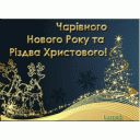 С Новым 2015 годом и Рождеством!